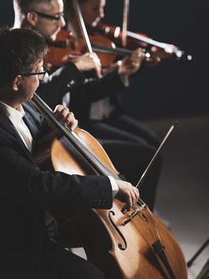 Orchester aus Streichinstrumenten